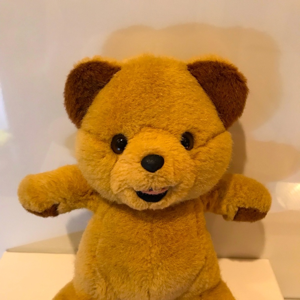 Teddy Bear
